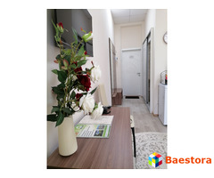 Номер 369                РОЗАЛИ